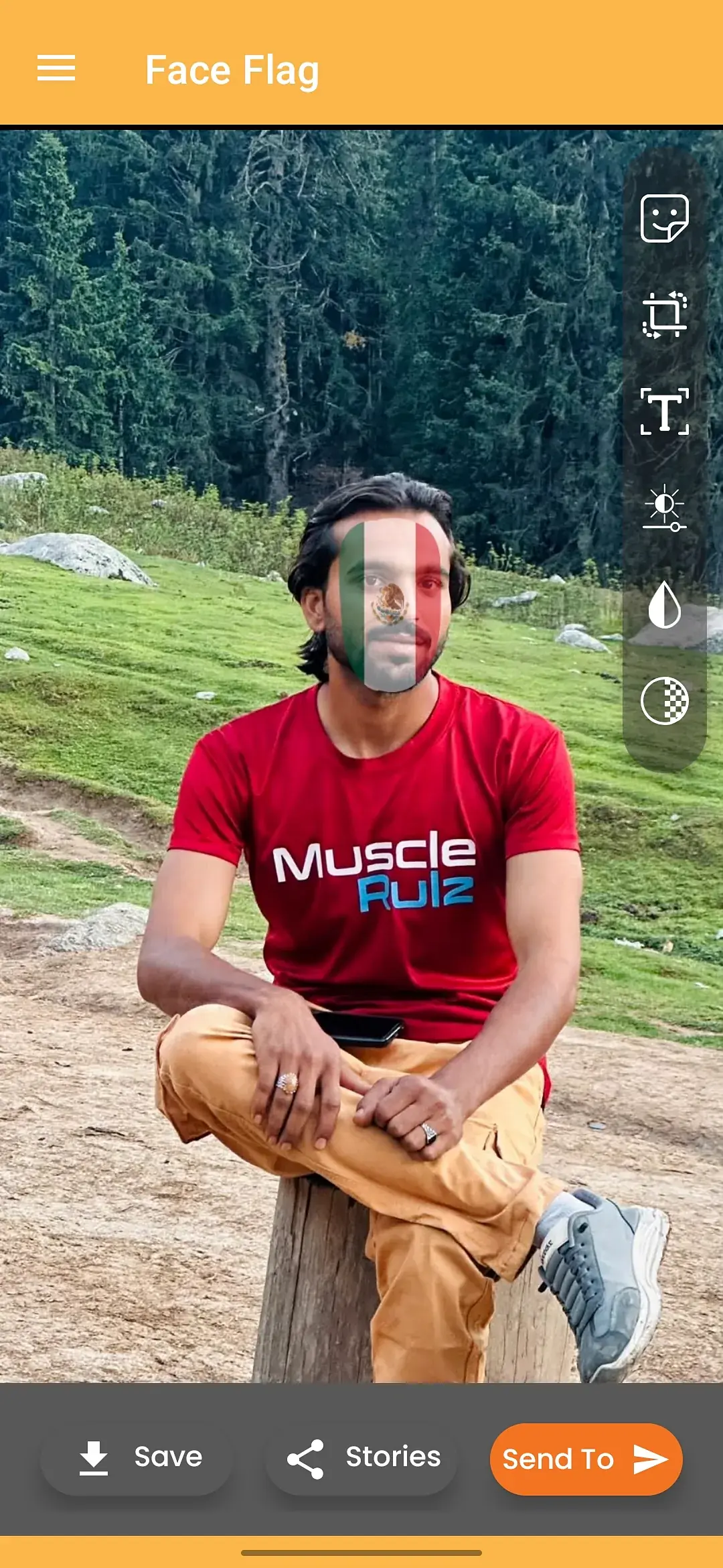 Face Flag Android app editor with stickers, crop, text and adjustment tools plus save and share actions